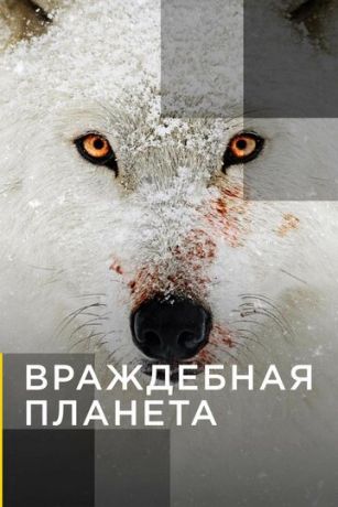 смотреть Враждебная планета 1 сезон 6 серия