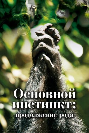 смотреть Основной инстинкт. Продолжение рода 1 сезон 2 серия