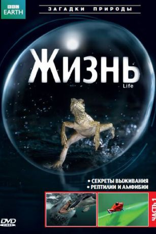 смотреть BBC: Жизнь 1 сезон 10 серия