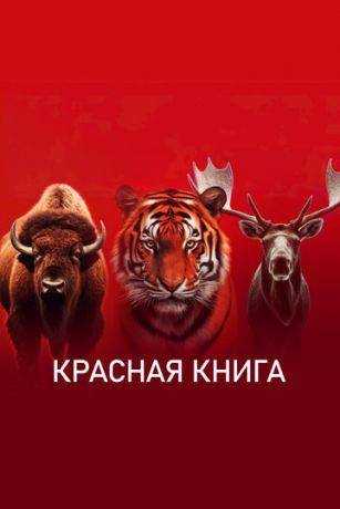 смотреть Красная книга 1 сезон 4 серия