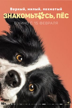 смотреть Знакомьтесь, пёс (2022)