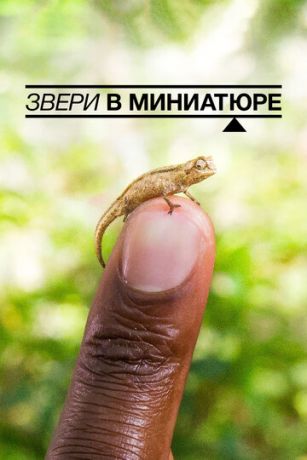 смотреть Звери в миниатюре (2017)