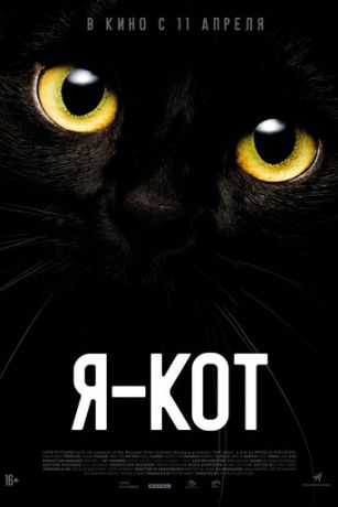 смотреть Я - кот (2023)