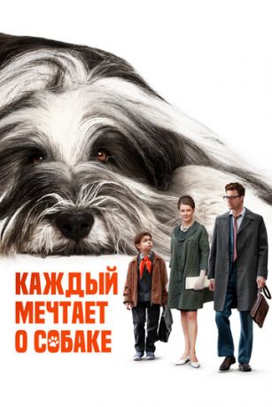 смотреть Каждый мечтает о собаке (2024)