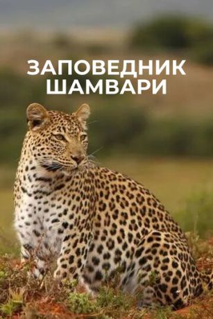 смотреть Заповедник Шамвари 1 сезон 13 серия