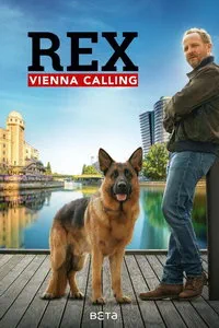 Комиссар Рэкс: Перезапуск (сериал)